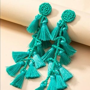 Tassel drop earrings